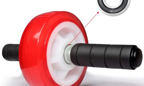 Wheel, Core Exercise Equipment - 880 lbs Weight acity, No Noise Ab Wheel for Home Gym Workout